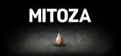 Mitoza (2021)