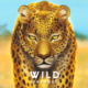 Wild: Serengeti (2022)